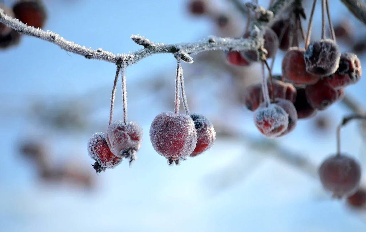 Friagem e clima seco do inverno exigem cuidados com a saúde vocal