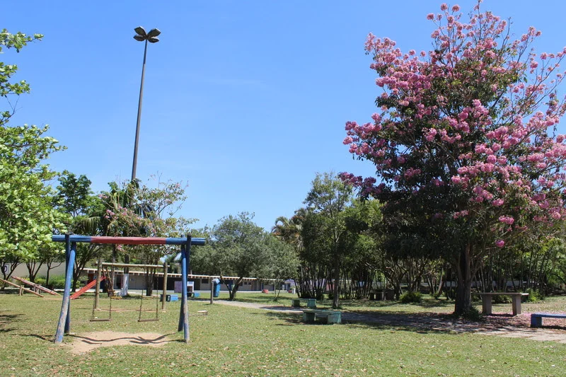 Parques estaduais de SP viram palco de trilhas, oficinas e brincadeiras nas férias de julho   Unidades da capital e Grande São Paulo oferecem desde observação de aves e plantio de mudas até experimentos científicos e jogos tradicionais durante todo o mês